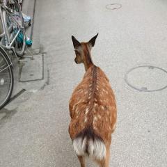 あっつー
