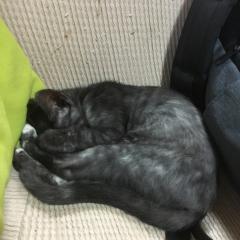 久々に886開いたわ（笑）誰か…