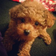 デル様が1番可愛い♡