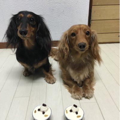 チャンネルいっしー