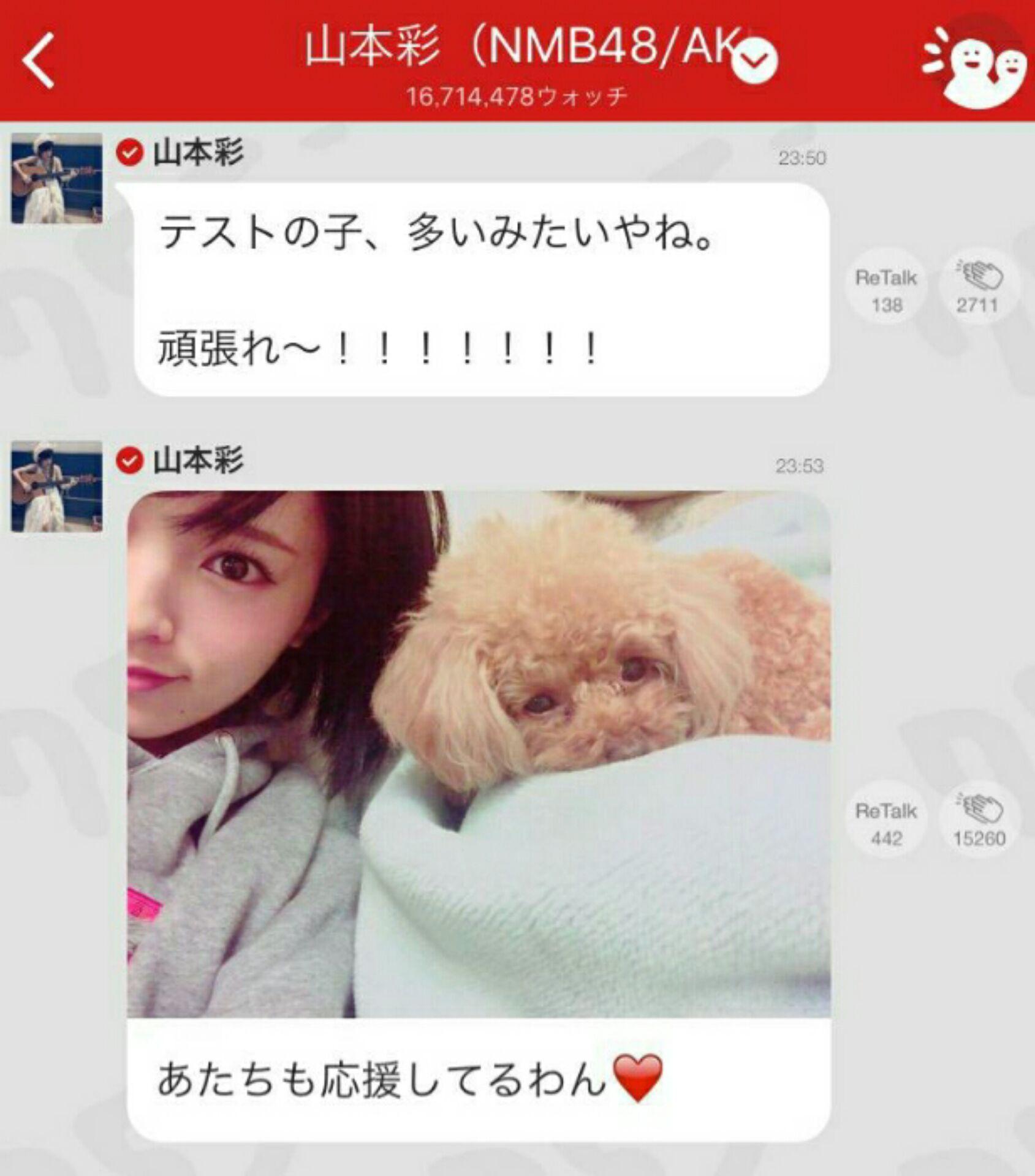 投稿画像
