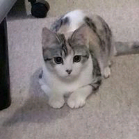 Ryuta Kondouのトーク