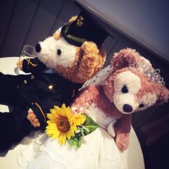 shunsuke.alive