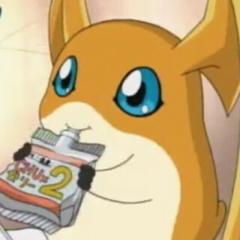 もんちゃん(♀)のトーク