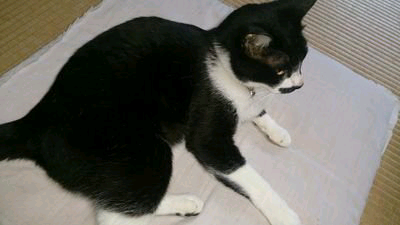happyマン