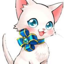 ドラ猫プロジェクト