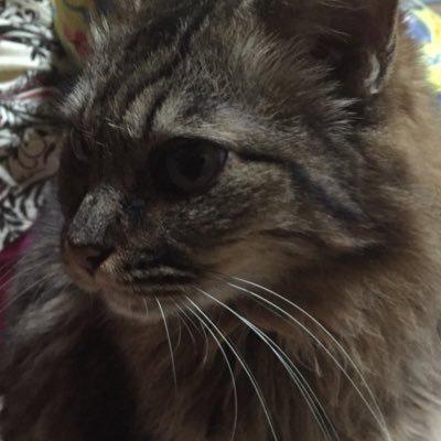 叶音（カノン）