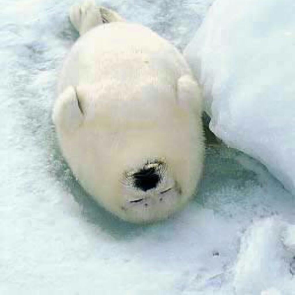 澤村武志のトーク