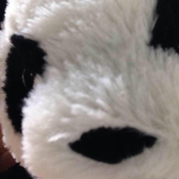 ちぃぱんだ💕トーク