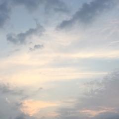 宮脇咲良さんの選挙用チラシ作成会