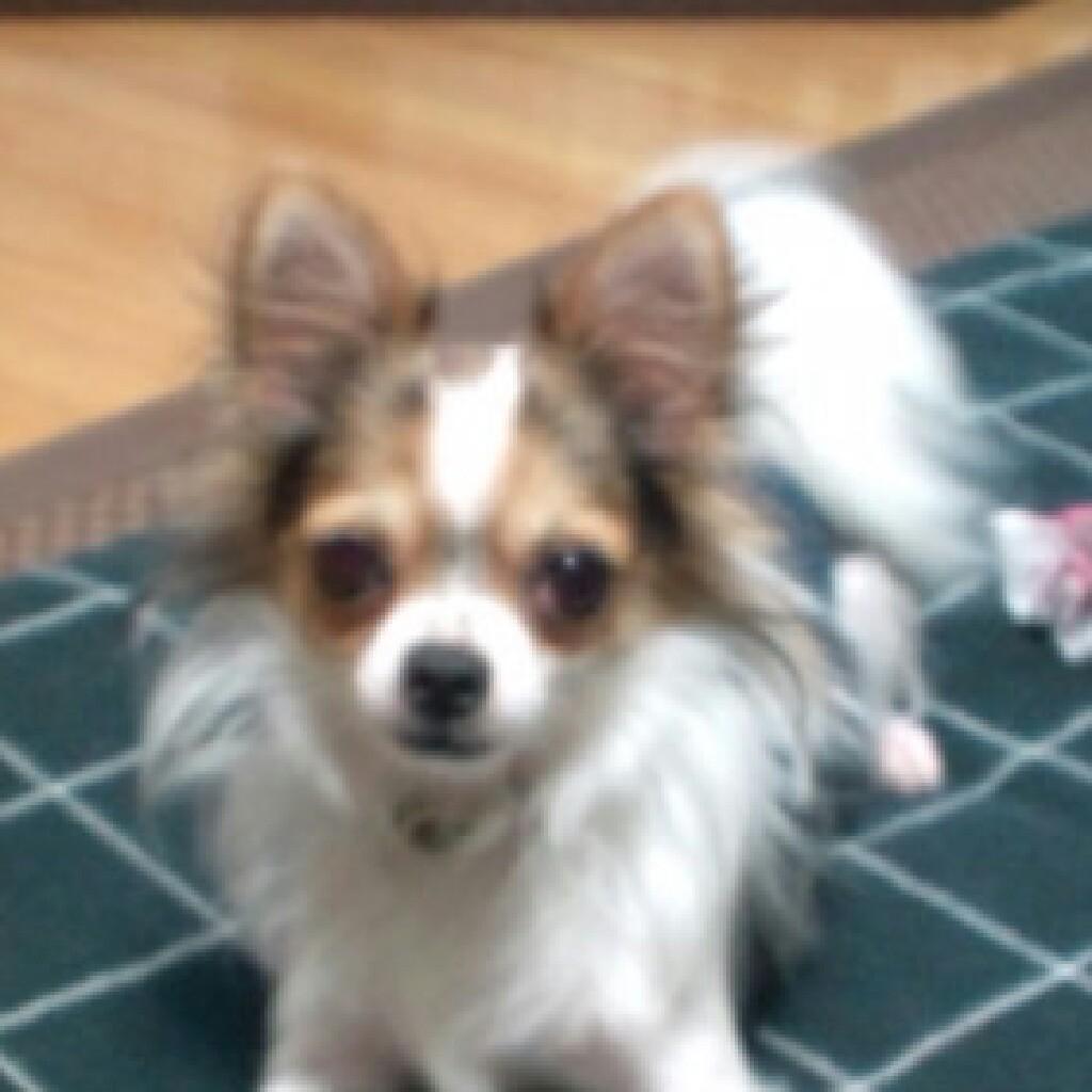 高みな大好き😊