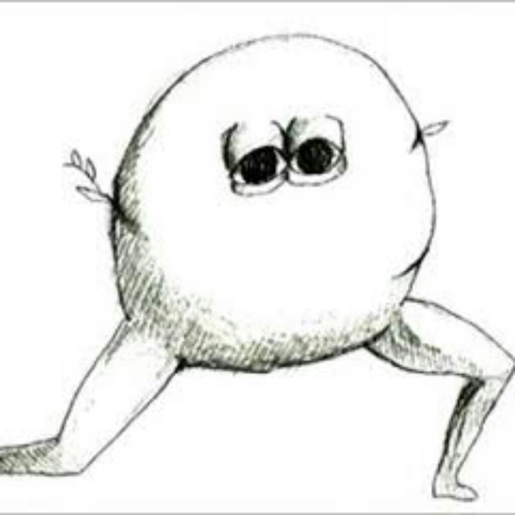 乃木坂46なぁちゃん、きいちゃん、ほりちゃんが好きな人