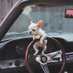 オナカマサマ@福岡