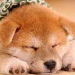 タクト 卍佐藤香梨卍