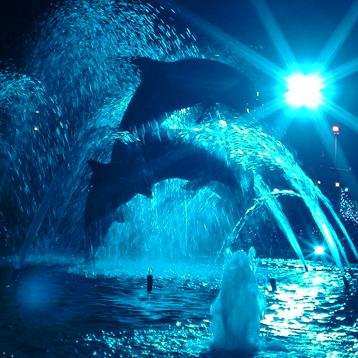 そうたのトーク