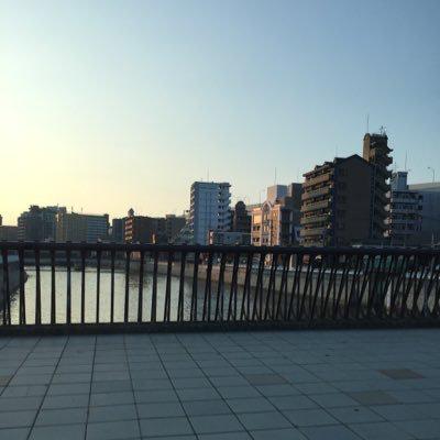 ハト