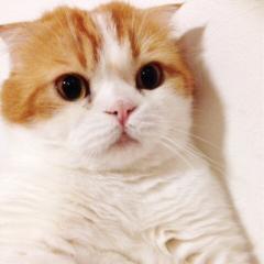 きーぽん⊿