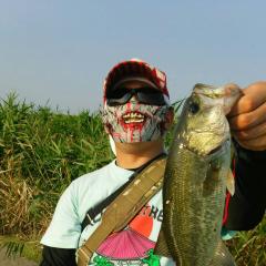 こにたんのトーク