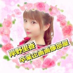 岸野里香 Twitter卒業企画用画像部屋