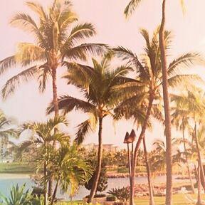 佐々木 京介のトーク