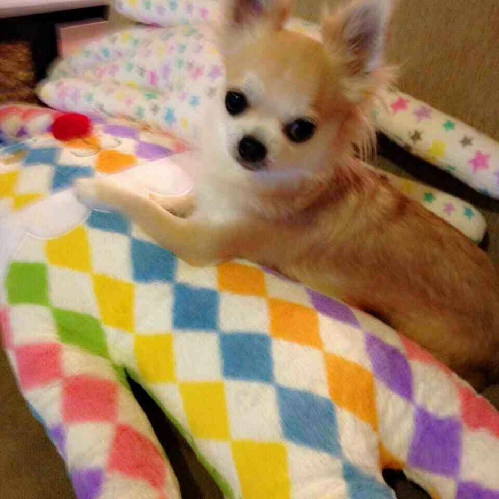 ここるん