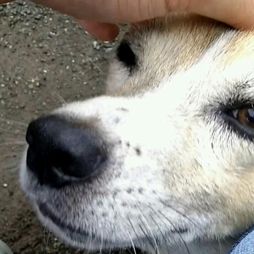 写真貼りまーす(^^)/