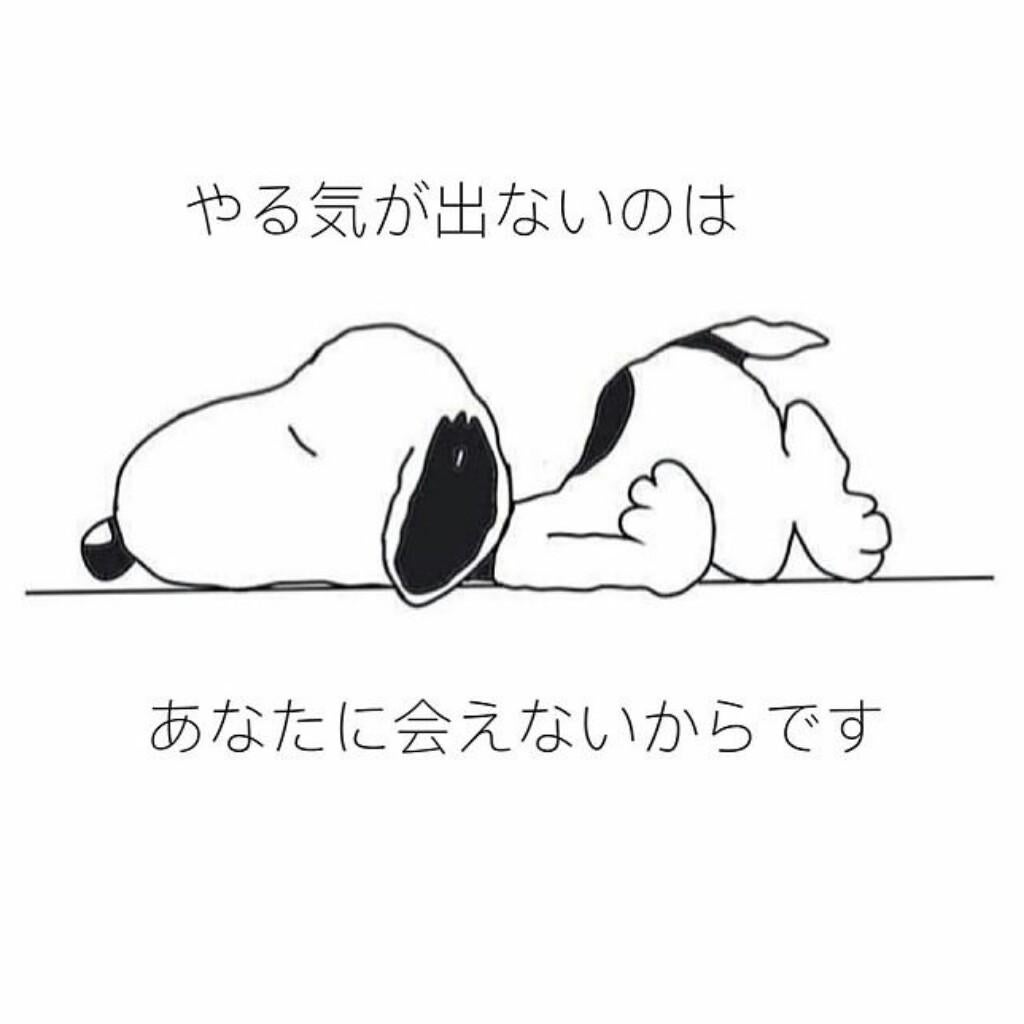 ひーたん。