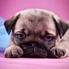 お話専用トーク