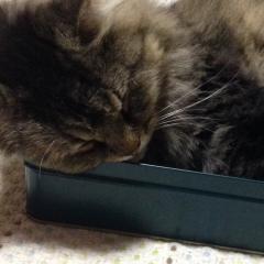 ひとみのトーク