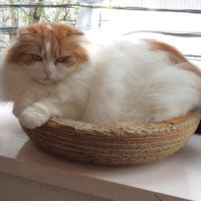 めぐみ