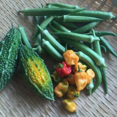 いつも心に太陽をﾊ━٩(*´∀`*)۶━ｲ🌞