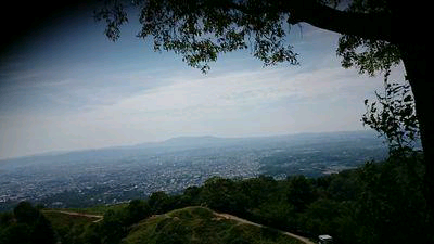 鹿さん⊿