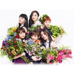 みっしーまま🌟🌟