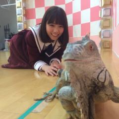 キリンさん