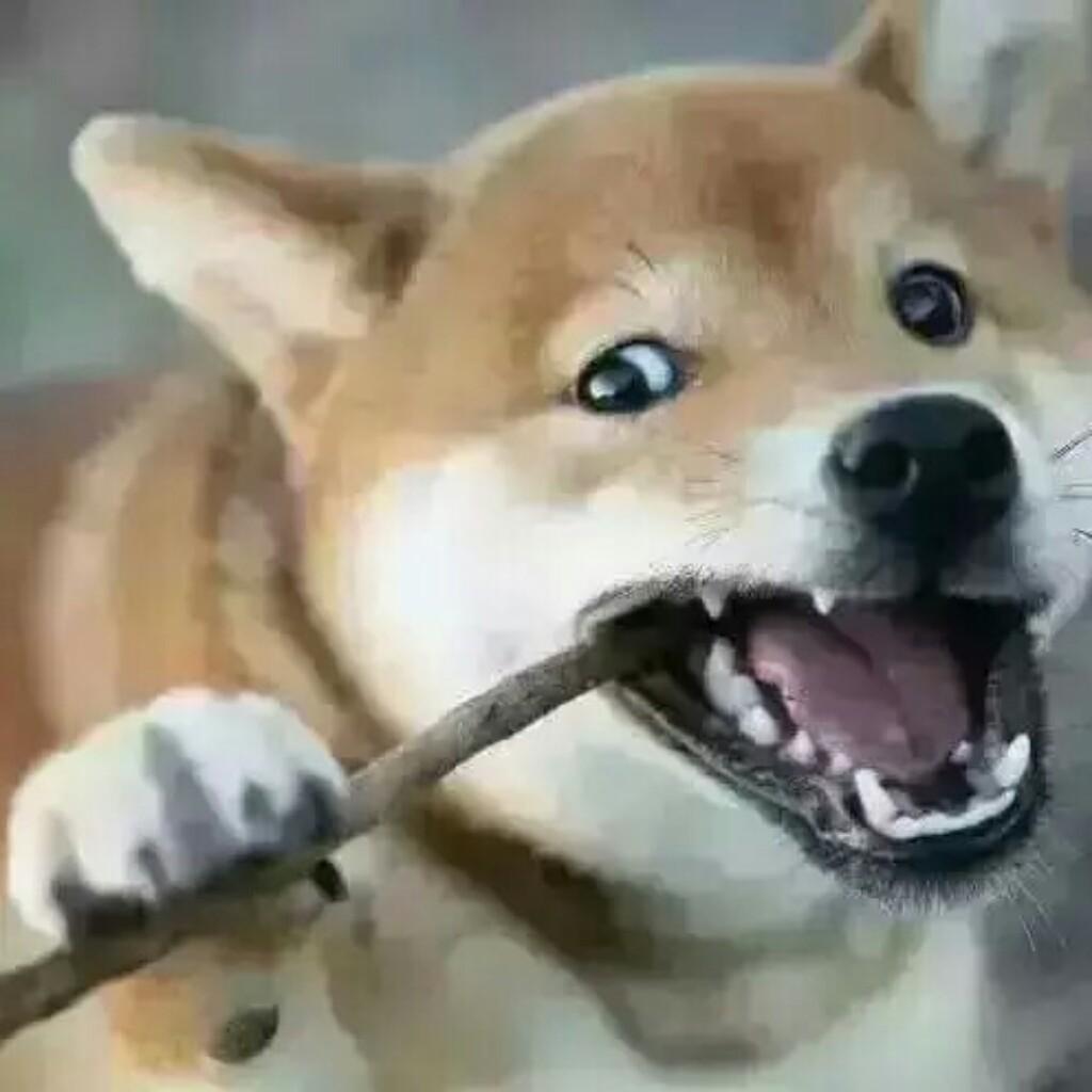 ちど(ノ=Д=)ノ┻━┻