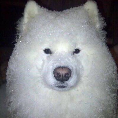 しろ