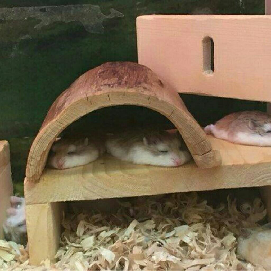 オリキャラ製作所