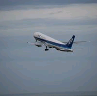 宗廣隼風