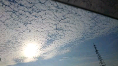 (*^^*)