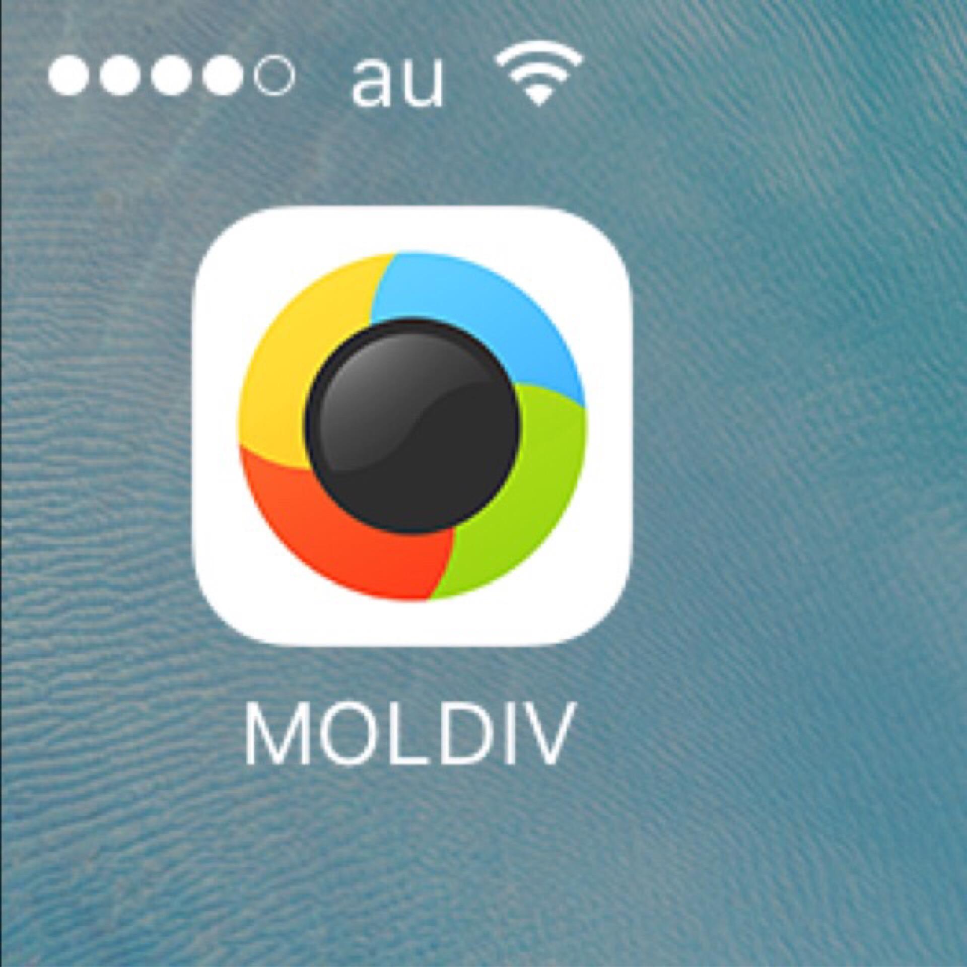 Moldiv