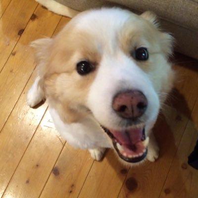 西中 浩輔のトーク