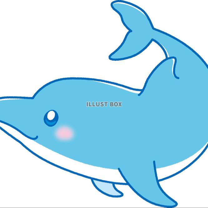 しゅーくん