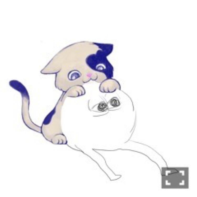 のっこのトーク