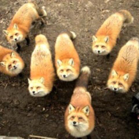 暇なときにくる