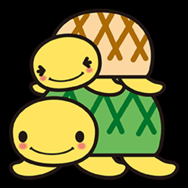 かめどん◢