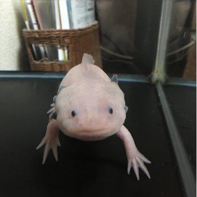 ホルモンのトーク