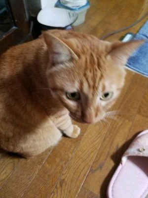 たかひろ