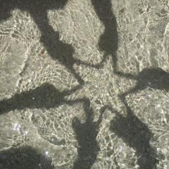 れもねーどのトーク