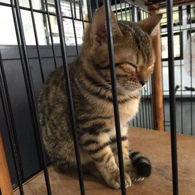 中島響一のトーク