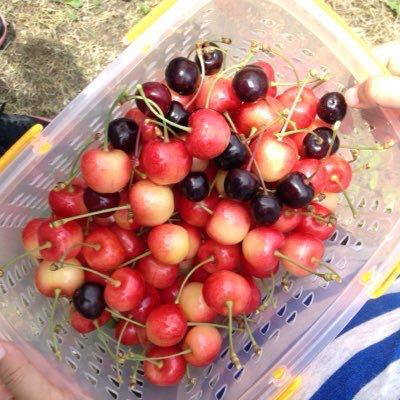 土屋 太鳳のトーク！